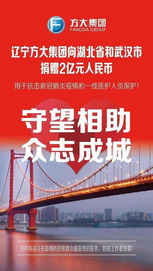 方大集团 政府背景,政府背景下的崛起与发展